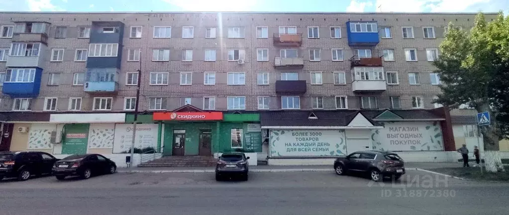 1-к кв. Пензенская область, Каменка Спортивная ул., 3 (30.3 м) - Фото 0