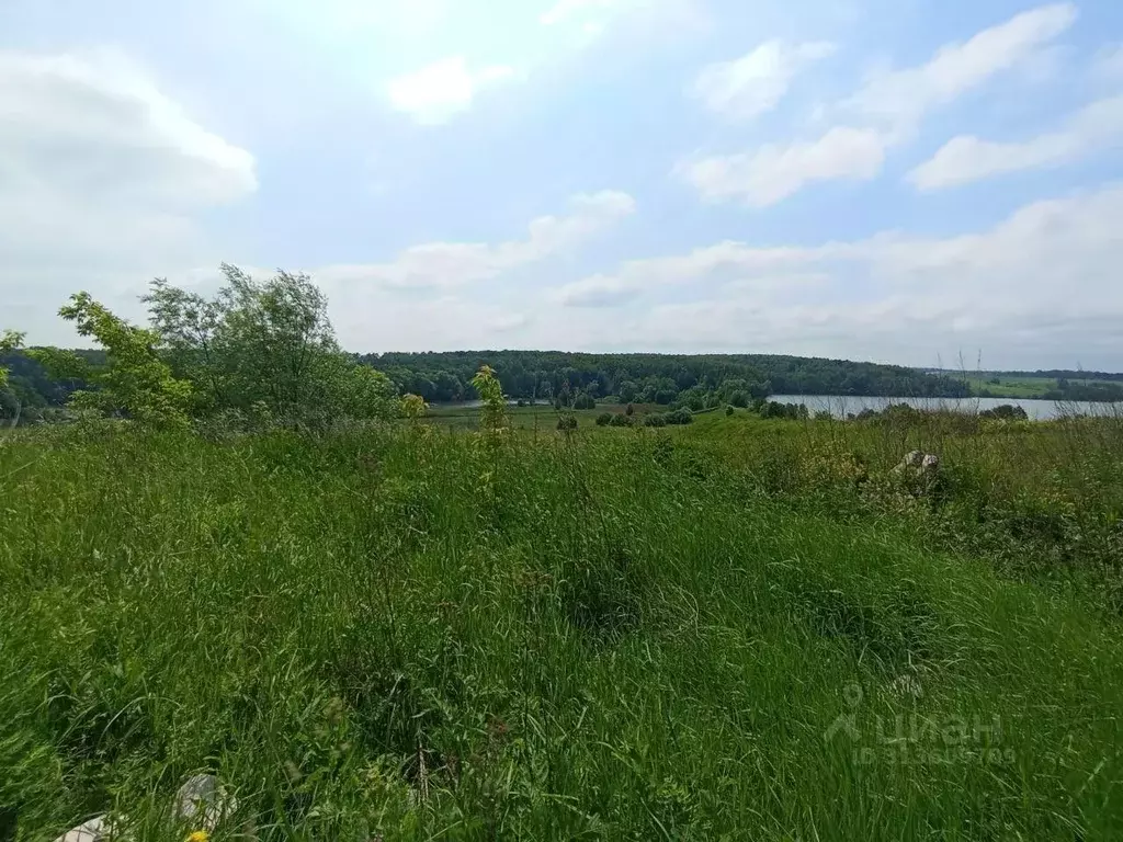 Участок в Московская область, Коломна городской округ, д. Подмалинки  ... - Фото 0