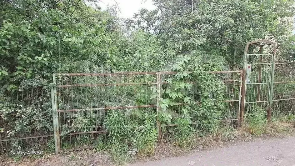 Дом в Воронежская область, Воронеж Заветы Мичурина СНТ, ул. Розовая, ... - Фото 1