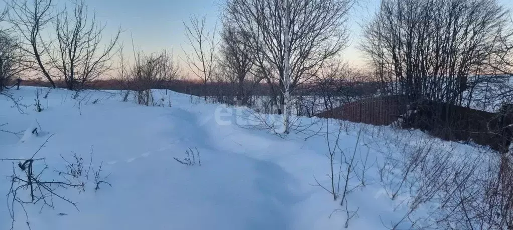 Участок в Нижегородская область, Кстовский муниципальный округ, с. ... - Фото 1