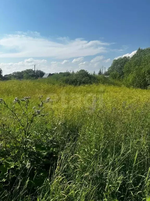 Участок в Вологодская область, д. Шульгино  (9.8 сот.) - Фото 1