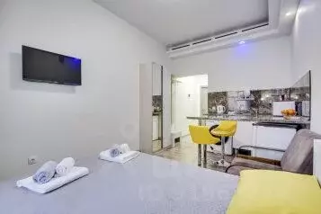 1-к кв. Санкт-Петербург Пушкинская ул., 18 (21.0 м) - Фото 0