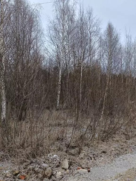 Участок в Московская область, Павлово-Посадский городской округ, д. ... - Фото 0