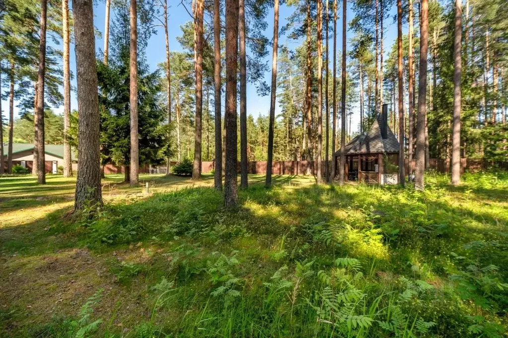 Участок в Ленинградская область, Всеволожский район, Сертоловское ... - Фото 2
