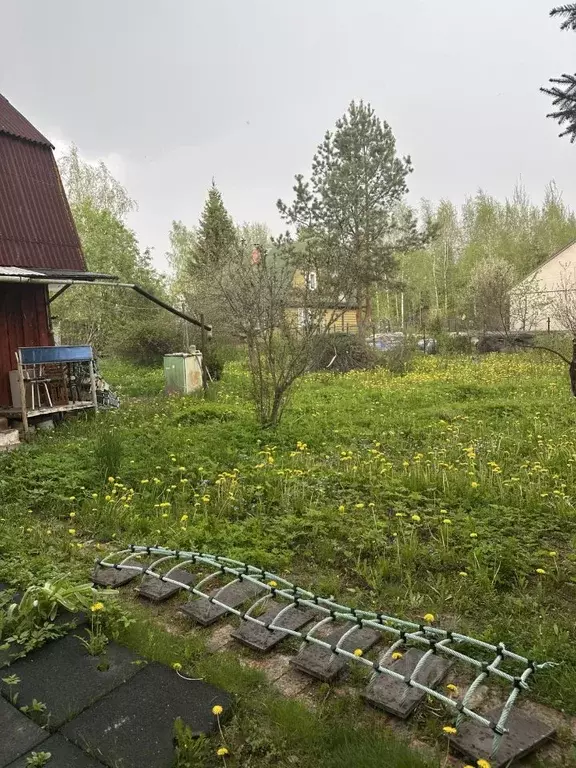 Участок в Ленинградская область, Гатчинский район, Строганово ... - Фото 1