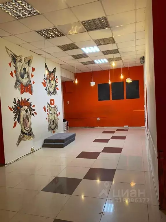 Помещение свободного назначения в Новосибирская область, Новосибирск ... - Фото 1