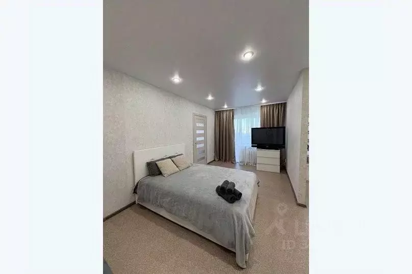 2-к кв. Новосибирская область, Новосибирск Новогодняя ул., 21 (47.0 м) - Фото 2