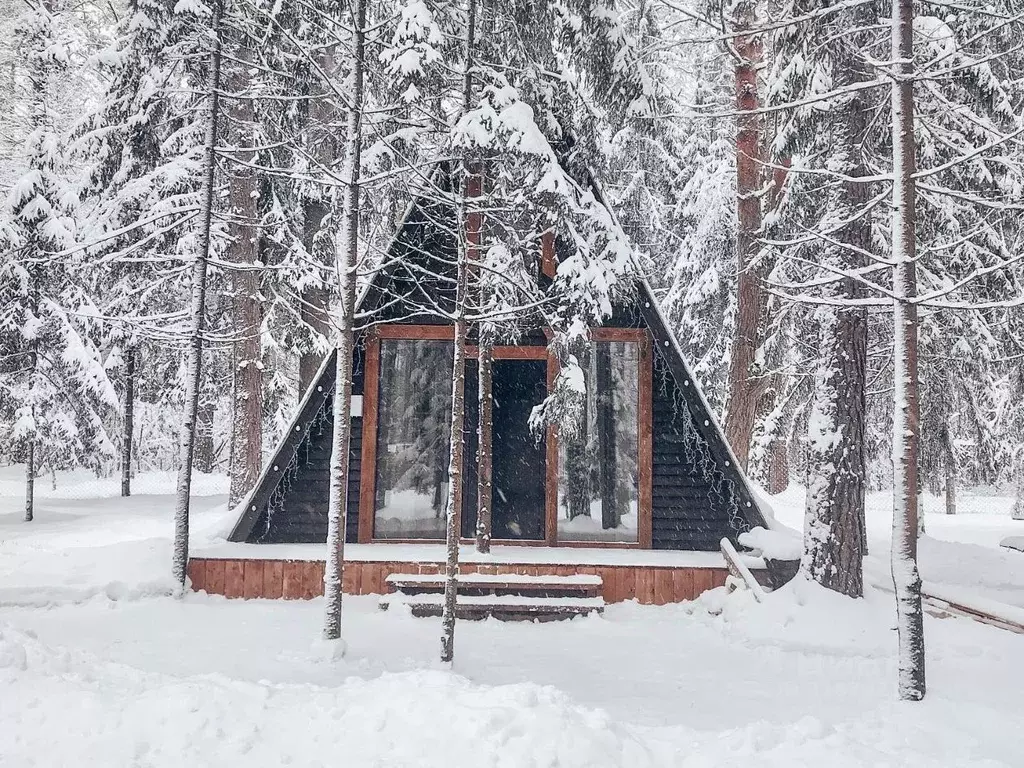 Дом в Нижегородская область, Сосновский муниципальный округ, д. ... - Фото 1