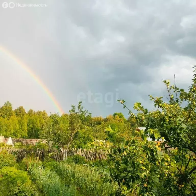 Участок в Челябинская область, Ашинский муниципальный округ, посёлок ... - Фото 2