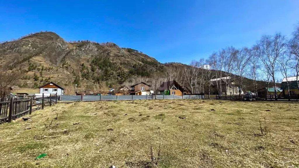Участок в Алтай, Чемальский район, с. Чемал ул. Сиреневая, 8 (12.0 ... - Фото 1