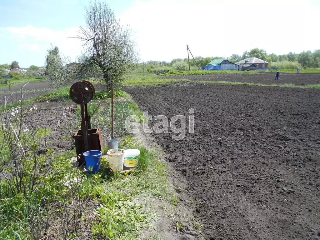 Купить Дом Рогачевка Новоусманский Район