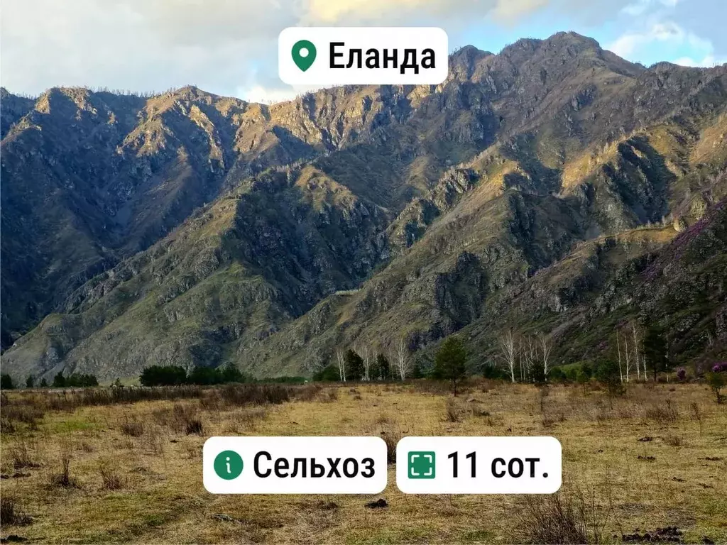Участок в Алтай, Чемальский район, с. Еланда Новая ул. (11.1 сот.) - Фото 0