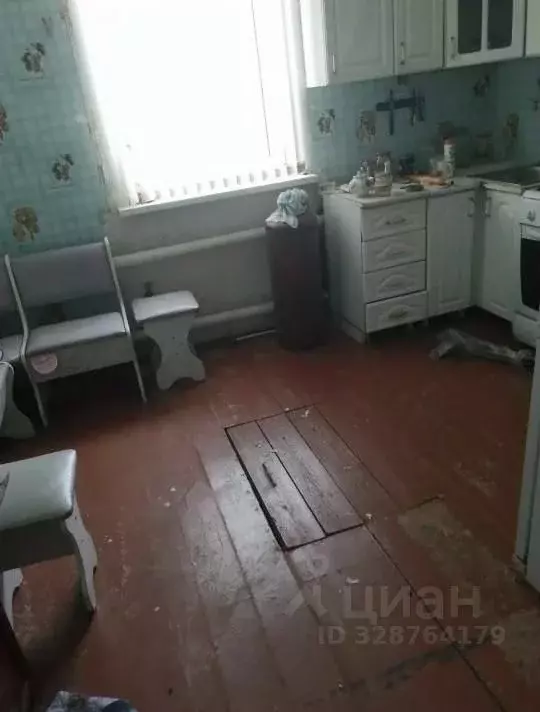 Дом в Омская область, Таврический район, д. Копейкино  (56 м) - Фото 2