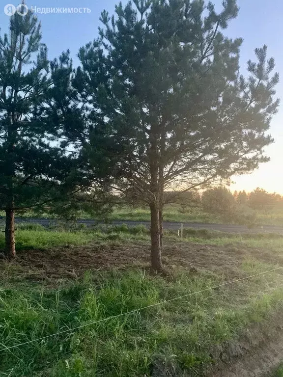 Участок в Московская область, городской округ Ступино, КП Эко берег, ... - Фото 1
