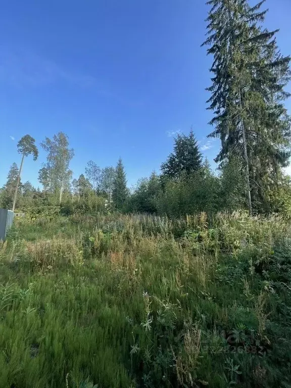 Участок в Ленинградская область, Гатчинский муниципальный округ, ... - Фото 1