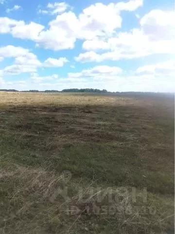 Участок в Челябинская область, Аргаяшский район, Кузнецкое с/пос, с. ... - Фото 0
