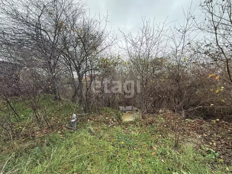 Участок в Краснодарский край, Новороссийск городской округ, с. ... - Фото 1