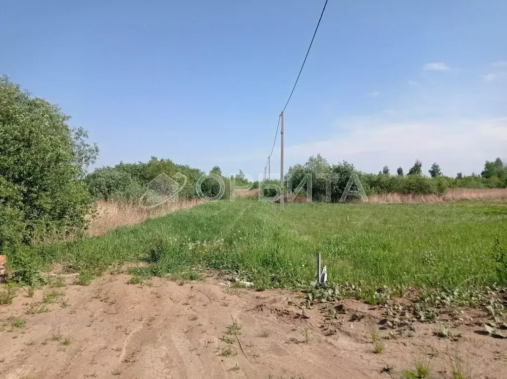 Участок в Тюменская область, Тюмень Садовое товарищество Липовый ... - Фото 1