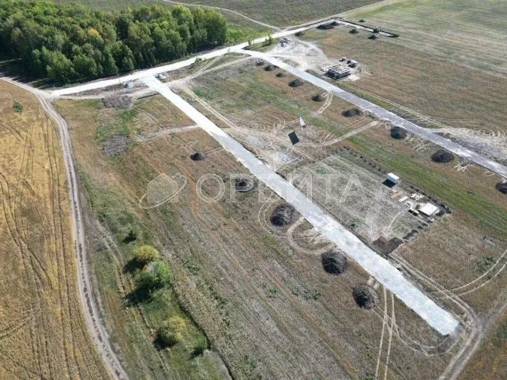 Участок в Свердловская область, Слободо-Туринский район, ... - Фото 2