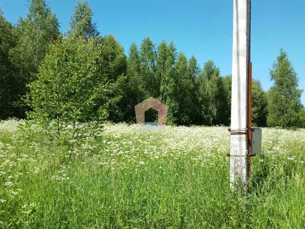 Участок в Московская область, Сергиево-Посадский городской округ, д. ... - Фото 0