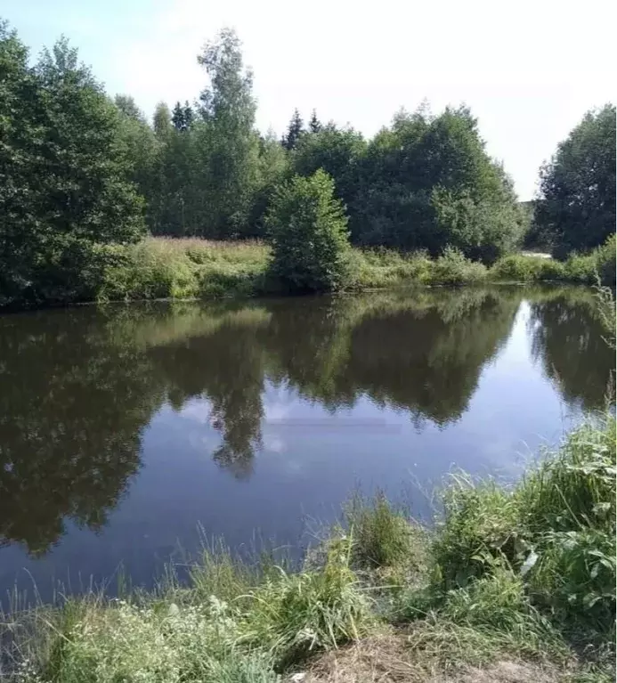 Участок в Калужская область, Дзержинский район, Рудня с/пос, д. Матово ... - Фото 2