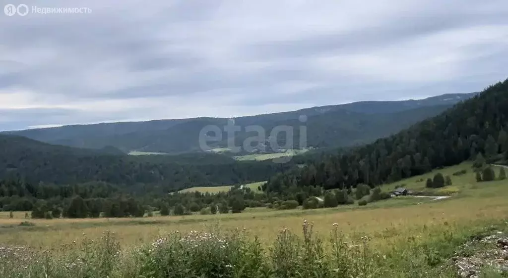 Участок в Чемальский район, Элекмонарское сельское поселение, посёлок ... - Фото 2