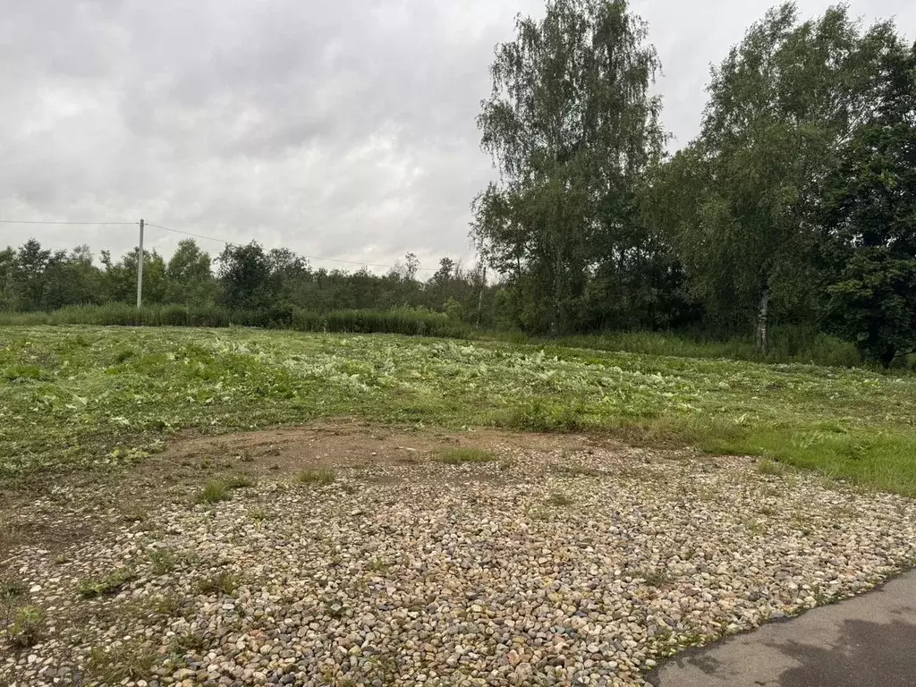 Участок в Московская область, Клин городской округ, д. Сохино  (10.0 ... - Фото 0