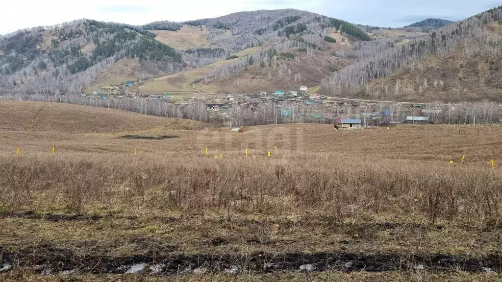 Участок в Бирюля, Таркольская улица (12.45 м) - Фото 0