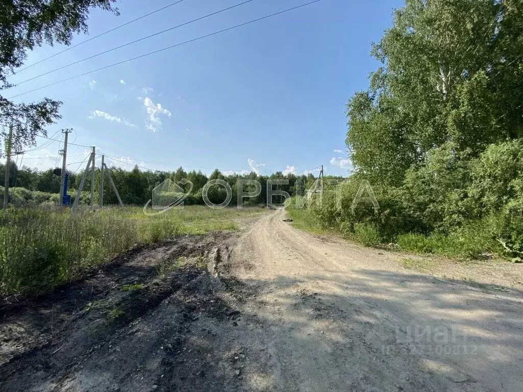 Участок в Тюменская область, Нижнетавдинский муниципальный округ, ... - Фото 2