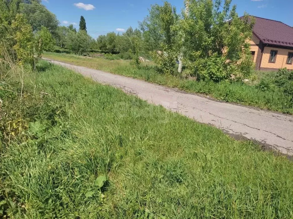 Участок в Белгородская область, Красногвардейский район, Засосенское ... - Фото 0
