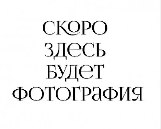 3-комнатная квартира: Новосибирск, улица Бориса Богаткова, 171 (60 м) - Фото 1