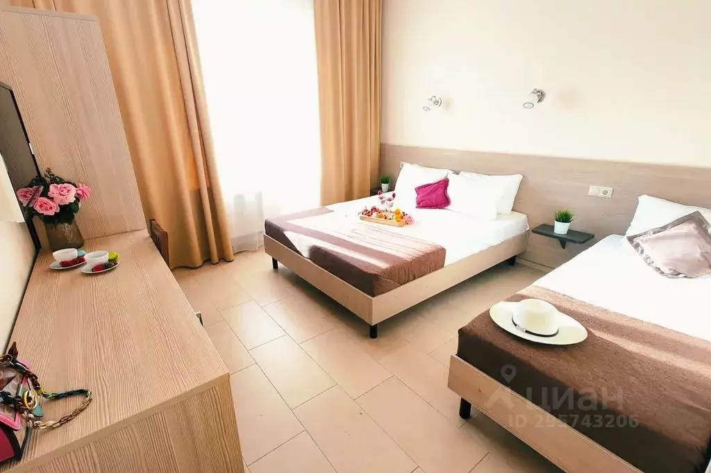 Комната Краснодарский край, Анапа проезд Престижный, 9 - Фото 1