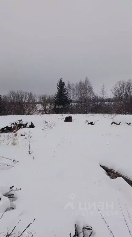 Участок в Чувашия, Чебоксарский муниципальный округ, д. Шобашкаркасы ... - Фото 2