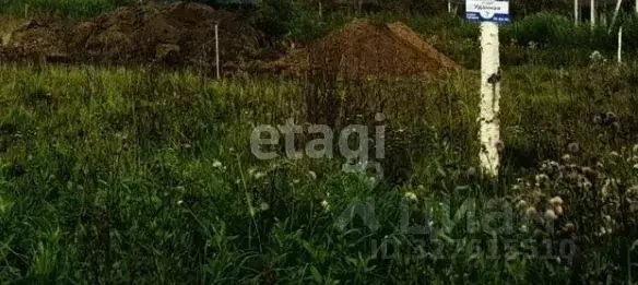 Участок в Томская область, Томский район, с. Коларово пер. Дивный (7.9 ... - Фото 2