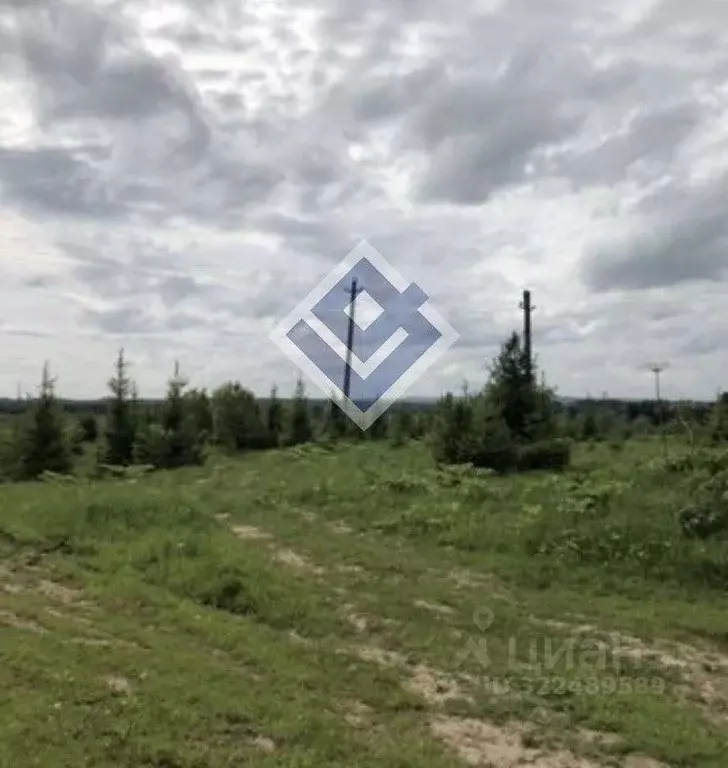 Участок в Пермский край, Краснокамский муниципальный округ, с. ... - Фото 2