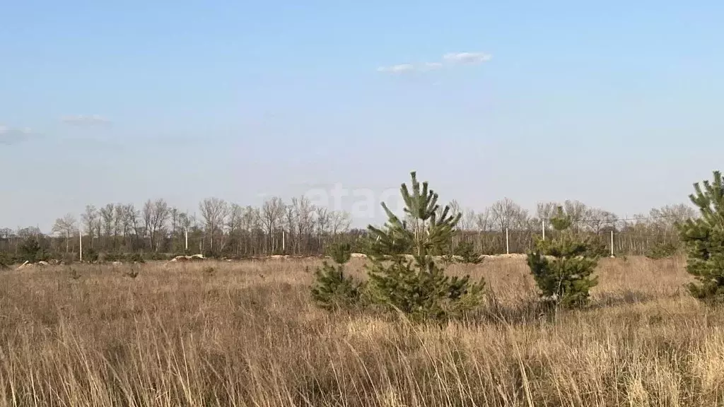 Участок в Белгородская область, Старый Оскол ул. Новаторов (15.0 сот.) - Фото 0