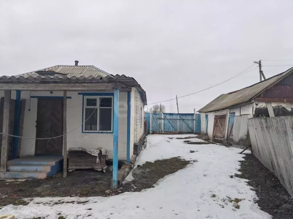 Дом в Белгородская область, Вейделевский район, Закутчанское с/пос, с. ... - Фото 1