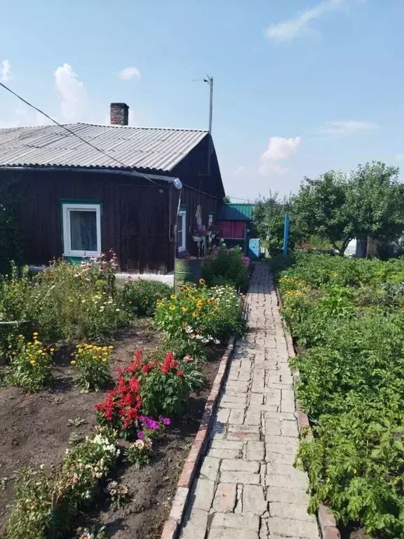 дом в кемеровская область, киселевск киселевская ул. (25 м) - Фото 1