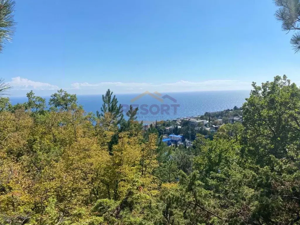 Участок в Крым, Алупка пер. Изергина (10.0 сот.) - Фото 2