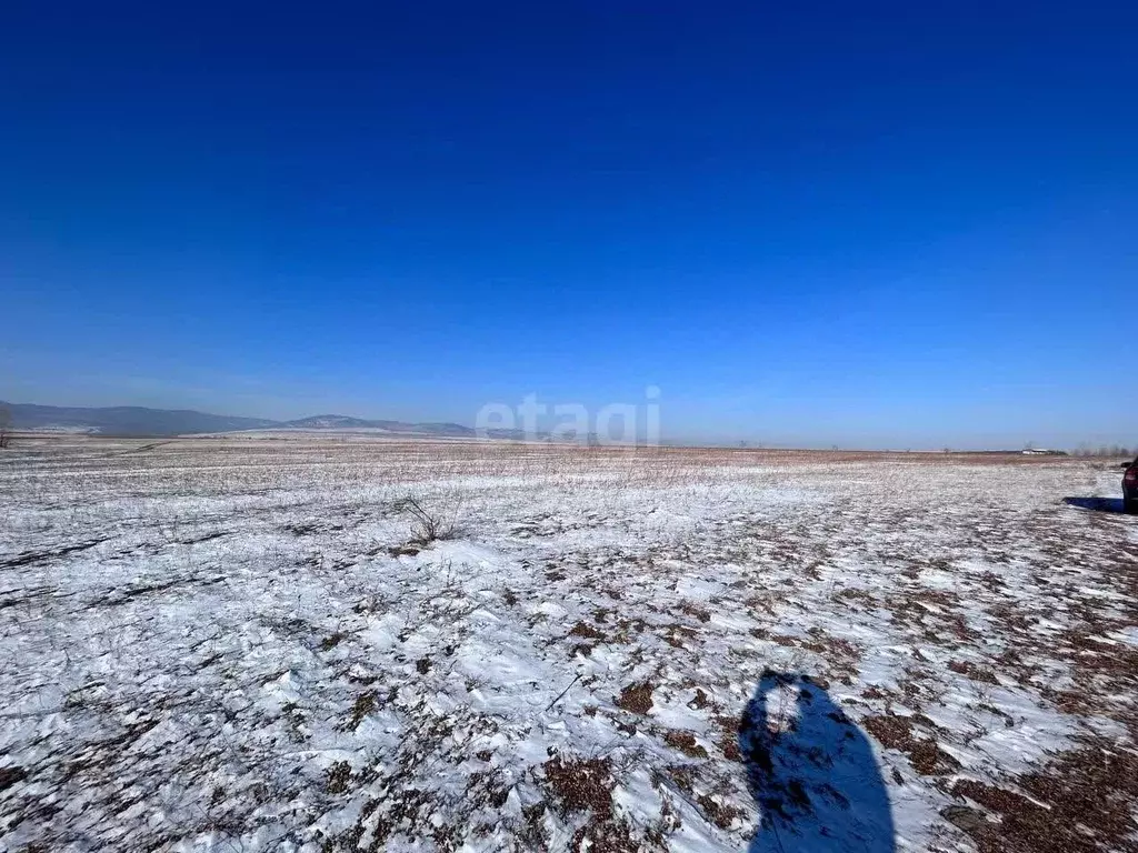 Участок в Забайкальский край, Читинский район, Раздольное ДНТ ул. ... - Фото 0