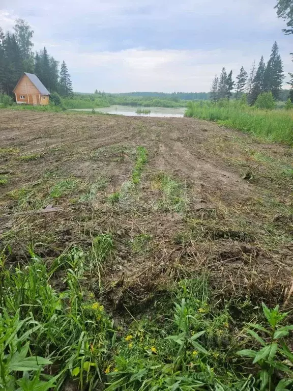 Участок в Тюменская область, Нижнетавдинский муниципальный округ, ... - Фото 1
