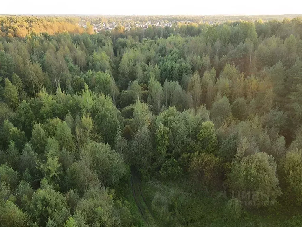 Участок в Ленинградская область, Тосно г. Тосненский район, Тосненское ... - Фото 1