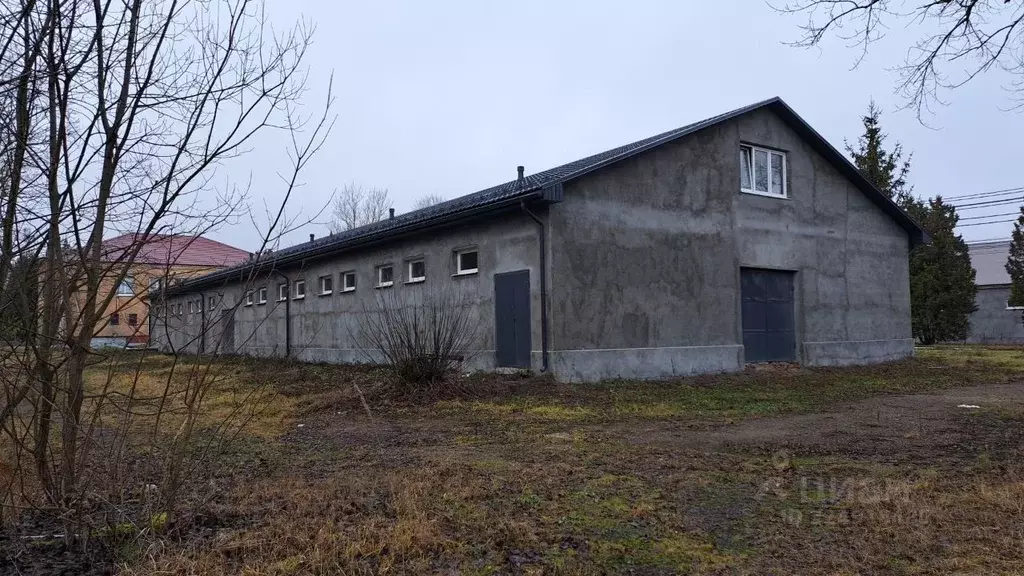 Помещение свободного назначения в Московская область, Домодедово ... - Фото 1