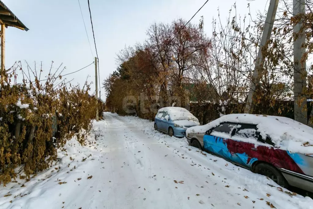 Участок в Новосибирская область, Новосибирск Радуга садовое ... - Фото 1