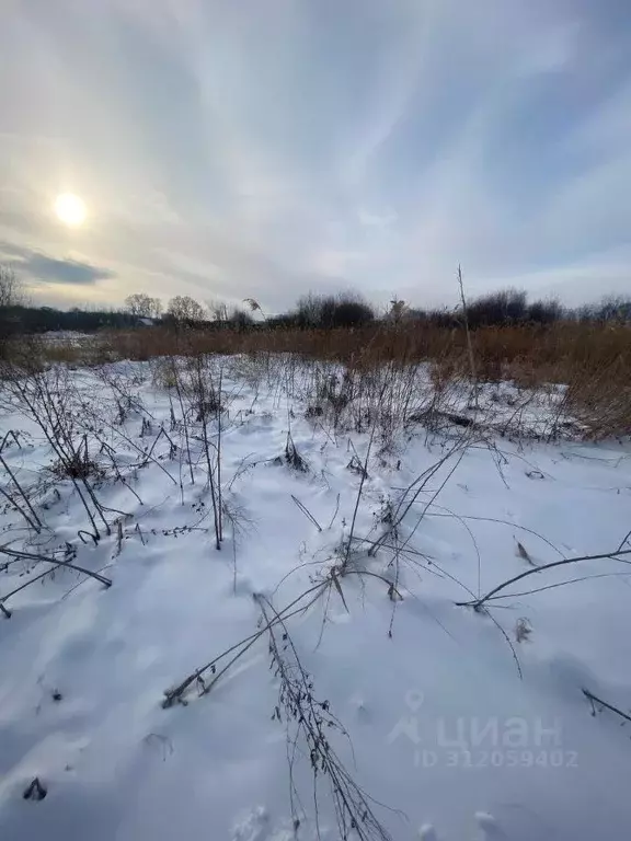 Участок в Хабаровский край, Хабаровск Фермерская ул., 27 (7.8 сот.) - Фото 0