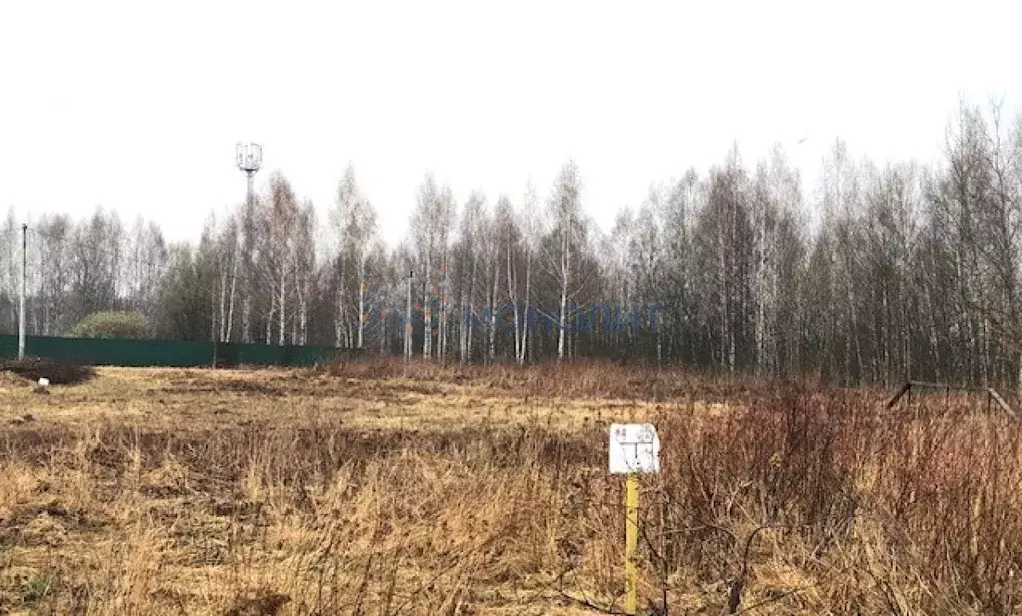 Участок в Нижегородская область, Бор городской округ, д. Борисовка ул. ... - Фото 0