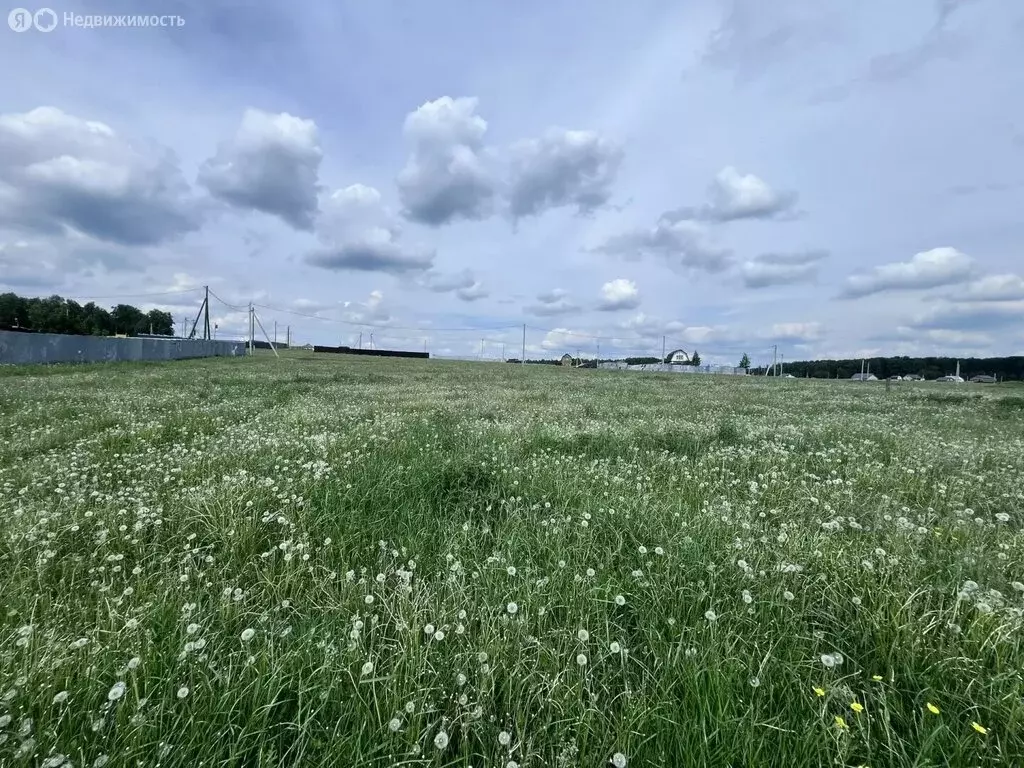 Участок в Челябинская область, Сосновский муниципальный округ, село ... - Фото 2