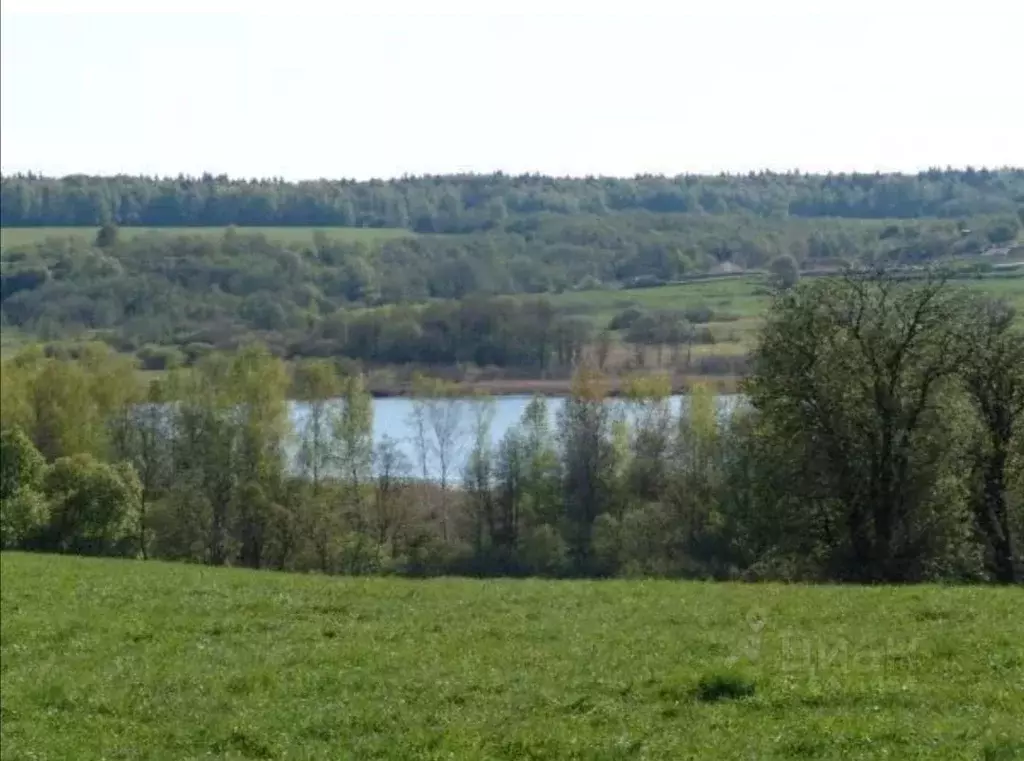 Московская область городской округ истра деревня. Чудцевское озеро Истринский район. Деревня Чудцево Истринский район. Озеро Чудцевское Клинский район. Озеро Чудцево Московская область.