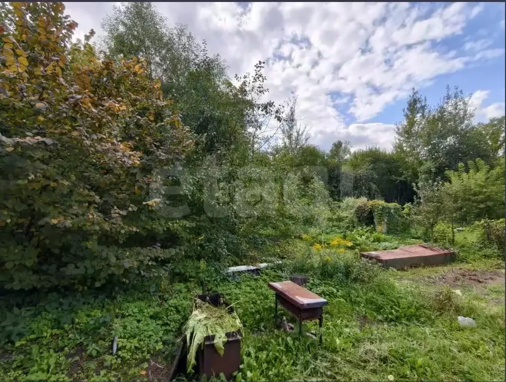 Участок в Тульская область, Тула Политехник-2 СНТ,  (7.5 сот.) - Фото 1