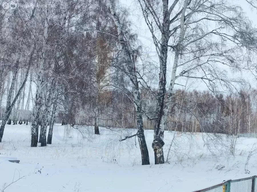 Участок в Новосибирский район, Ярковский сельсовет (12 м) - Фото 0